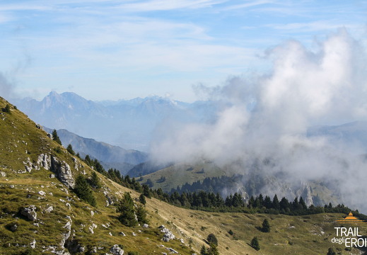 Paesaggi