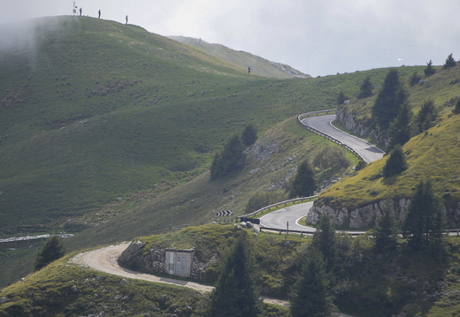 2026 Elettra Downhill 117