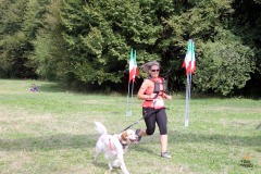 arrivi_43