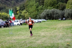 arrivi_430