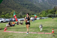 arrivi_439