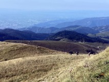 1_gara_15