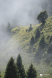 2026_Elettra_Downhill_48