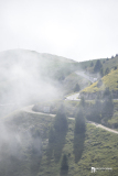 2026_Elettra_Downhill_53